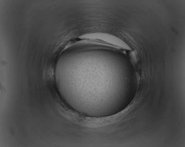 X0000090700045200708031422