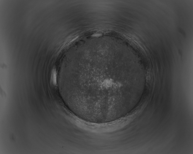 X0000090700046200708031422