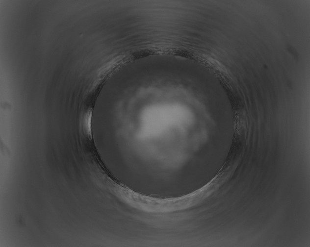 X0000090700047200708031422