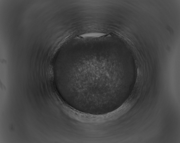 X0000090700048200708031422