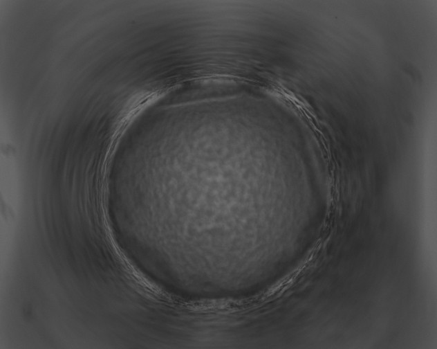 X0000090700049200708031421