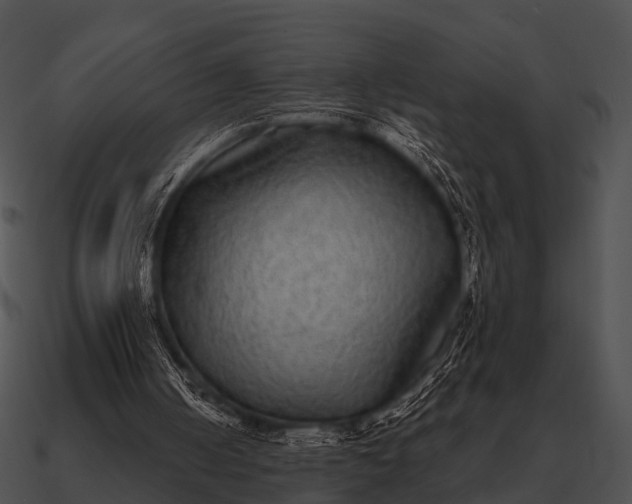 X0000090700050200708031421