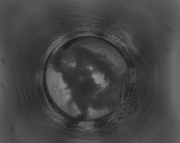 X0000090700051200708031421