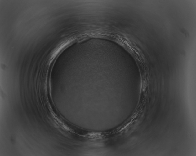 X0000090700052200708031421