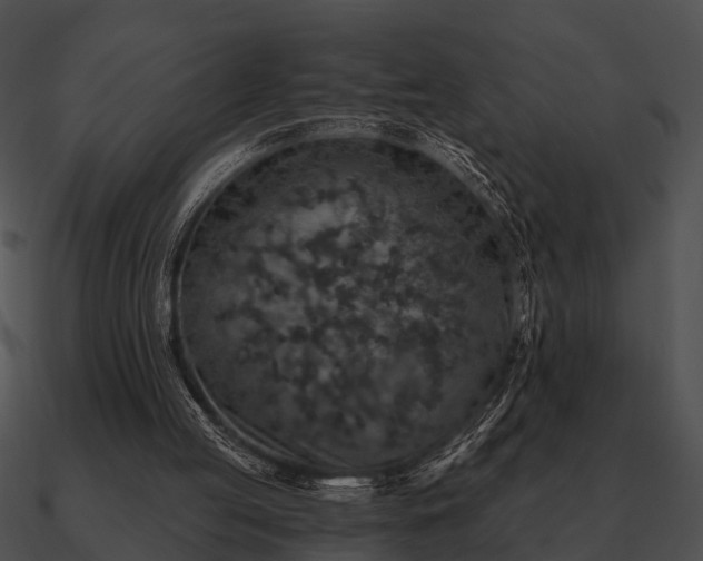 X0000090700053200708031421