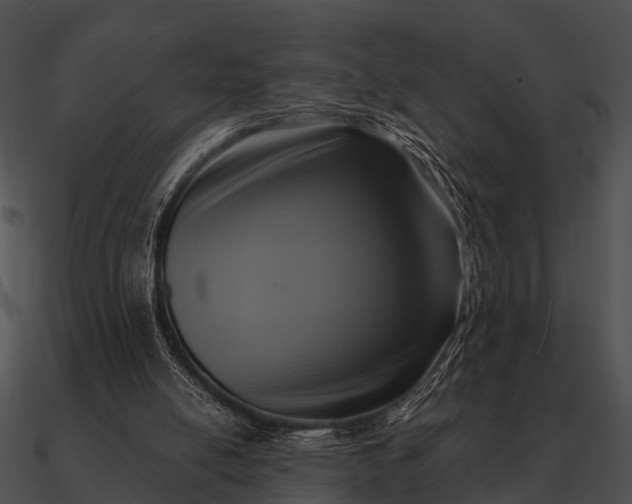 X0000090700054200708031421