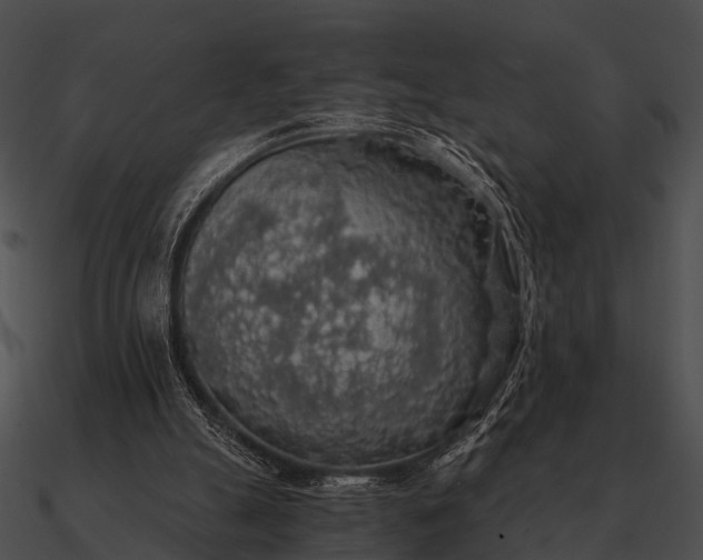 X0000090700055200708031421