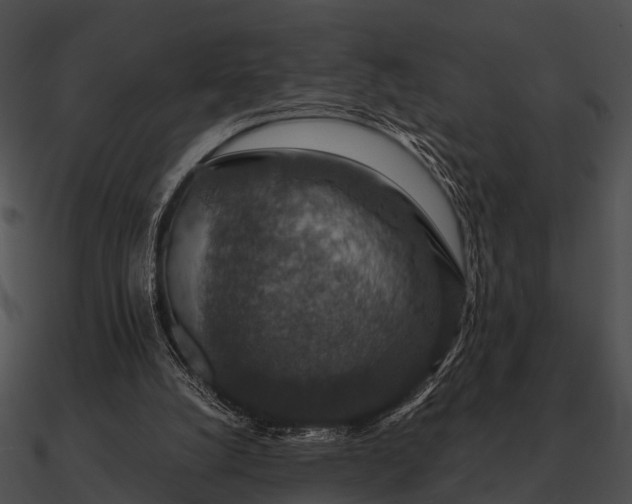 X0000090700056200708031421