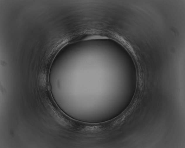 X0000090700057200708031421