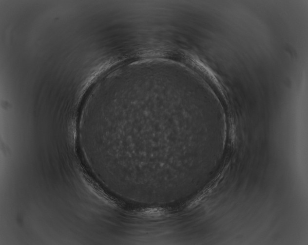 X0000090700059200708031421