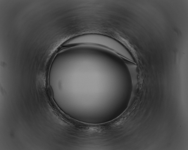 X0000090700060200708031421