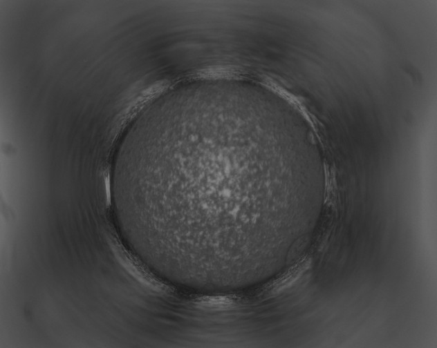 X0000090700061200708031421