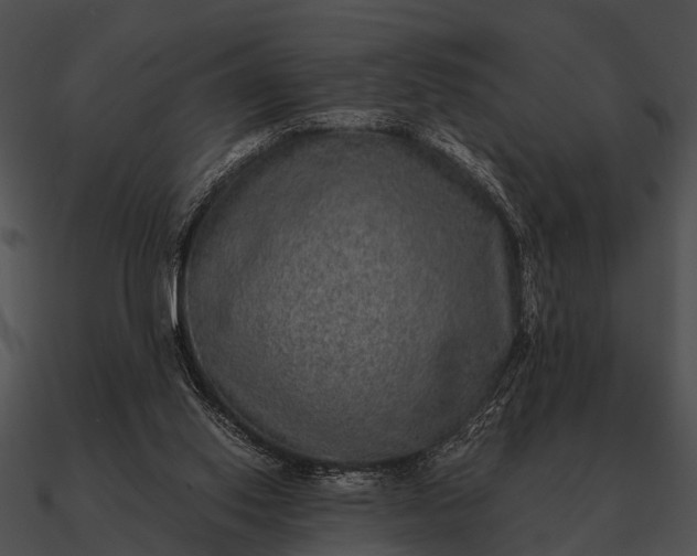 X0000090700062200708031421