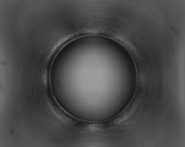 X0000090700064200708031421