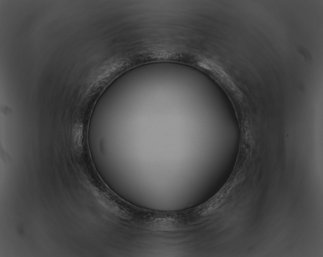 X0000090700066200708031421