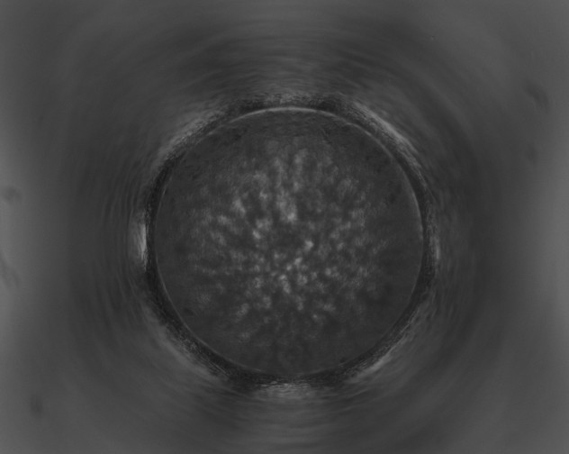 X0000090700067200708031421