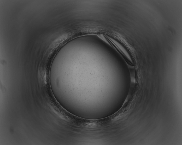 X0000090700068200708031421