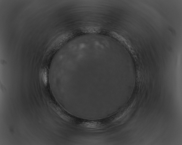 X0000090700069200708031421