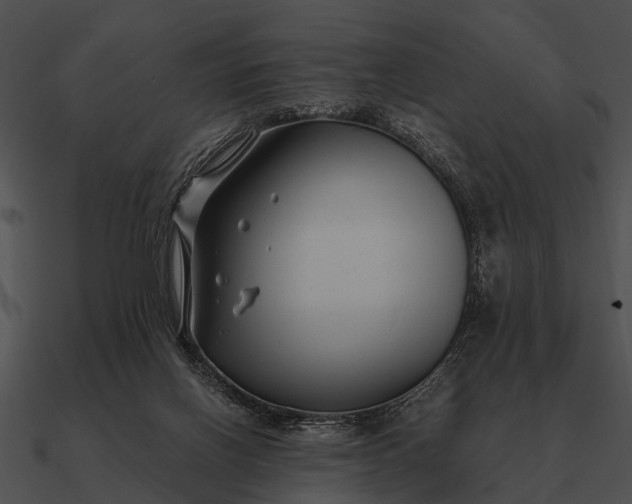 X0000090700070200708031421