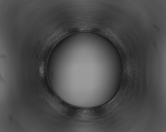 X0000090700074200708031421