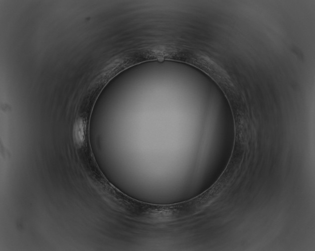 X0000090700075200708031421