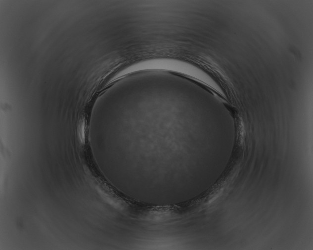 X0000090700076200708031421