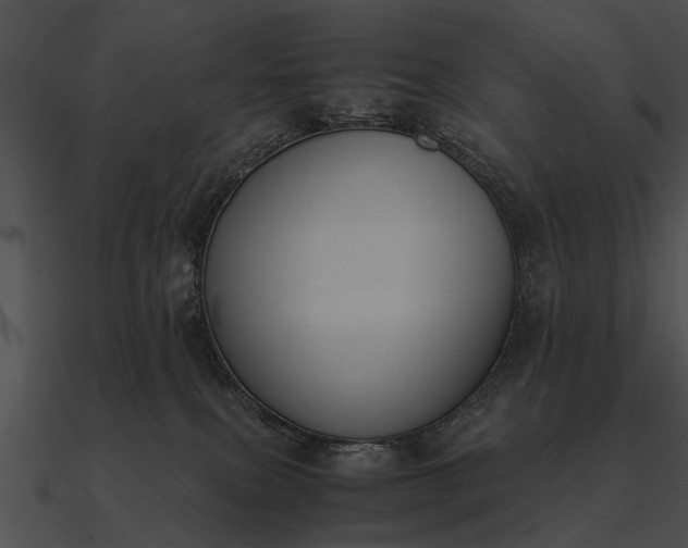 X0000090700087200708031422