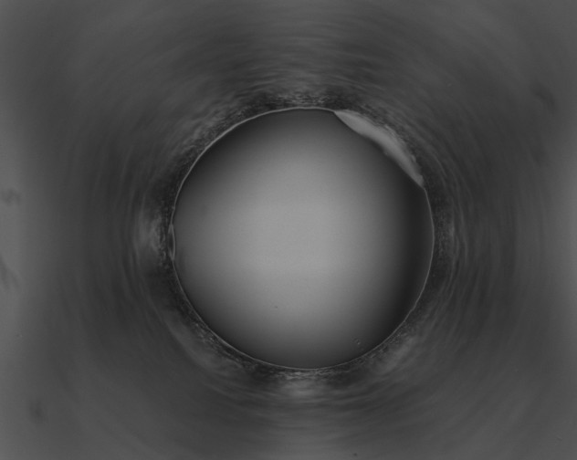 X0000090700088200708031422