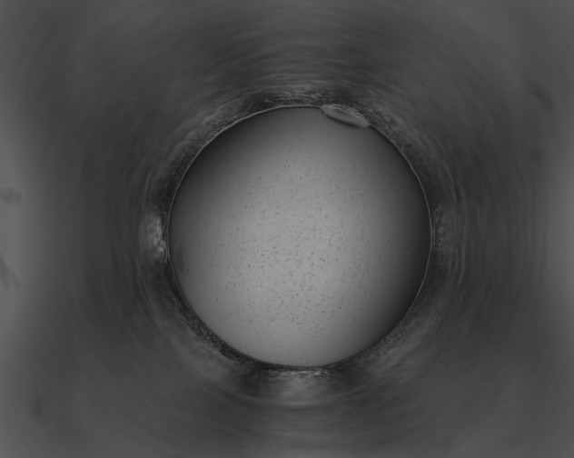 X0000090700089200708031422