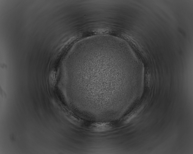 X0000090700093200708031422