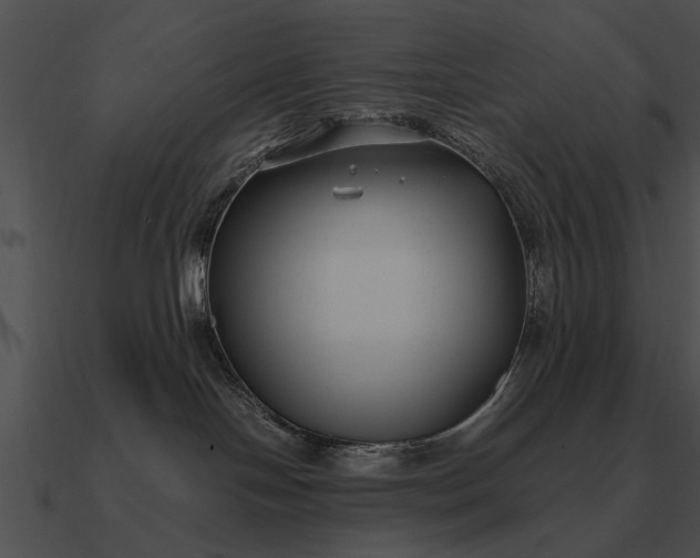 X0000090700094200708031422