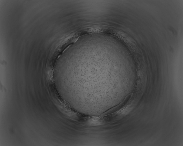 X0000090700096200708031422