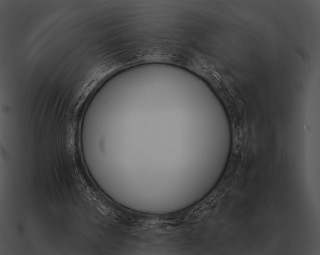 X0000090700098200708031421