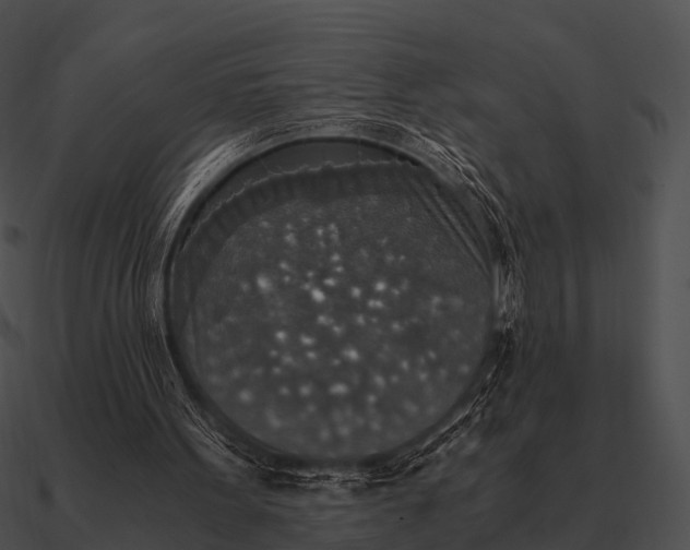 X0000090700099200708031421