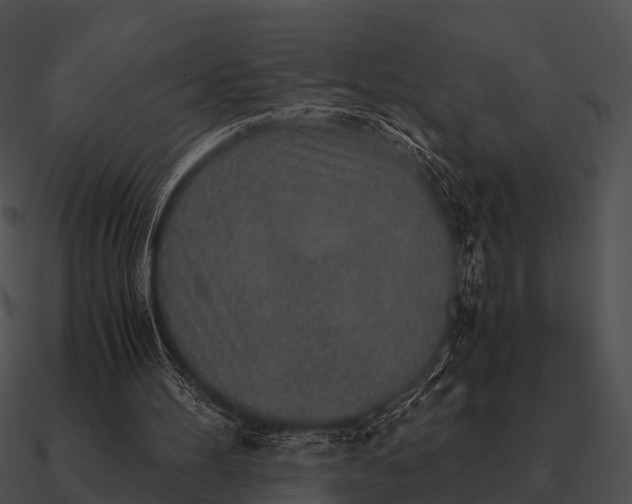 X0000090700100200708031421