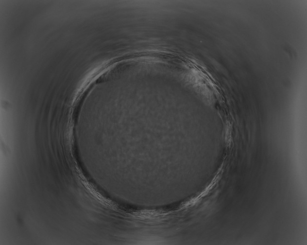 X0000090700101200708031421