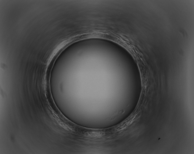 X0000090700102200708031421