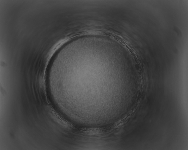 X0000090700104200708031421