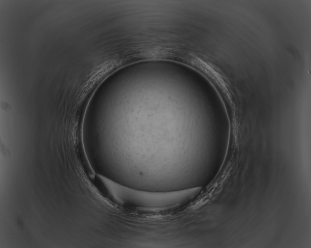 X0000090700105200708031421