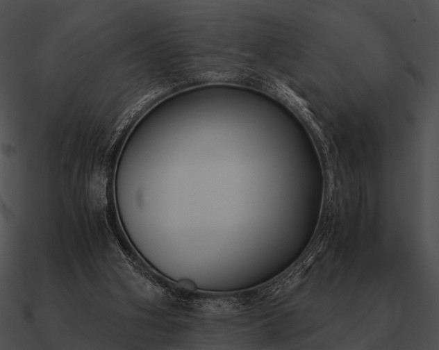 X0000090700106200708031421