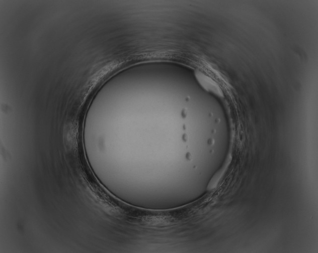 X0000090700107200708031421