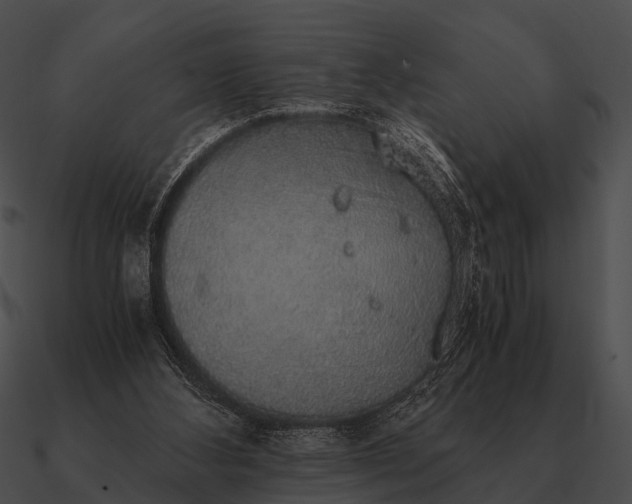 X0000090700108200708031421