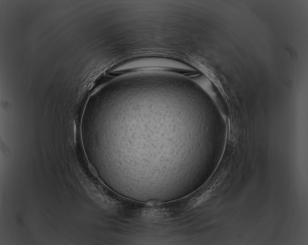 X0000090700109200708031421