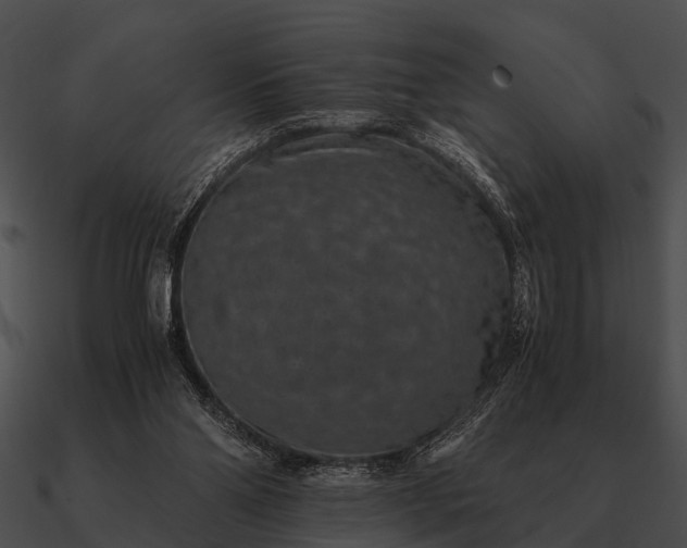 X0000090700110200708031421