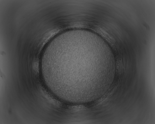 X0000090700112200708031421