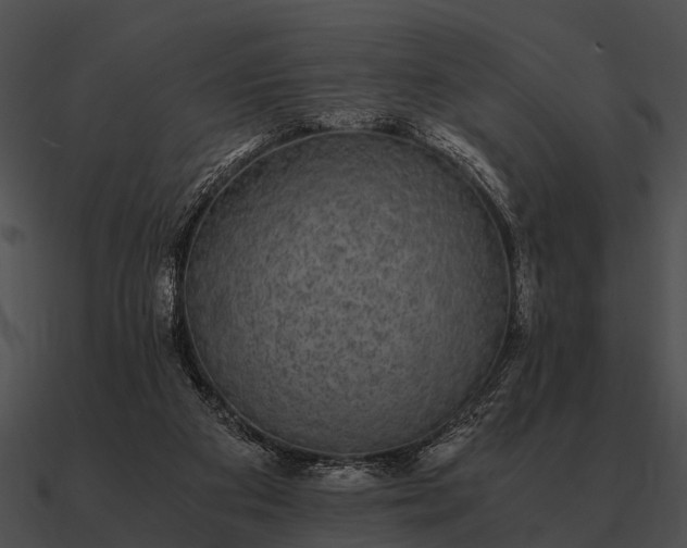 X0000090700113200708031421