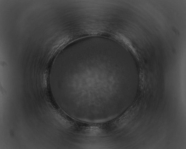 X0000090700114200708031421