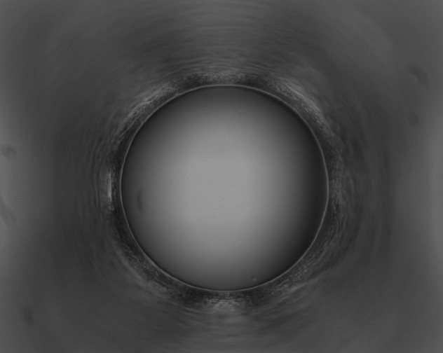 X0000090700115200708031421