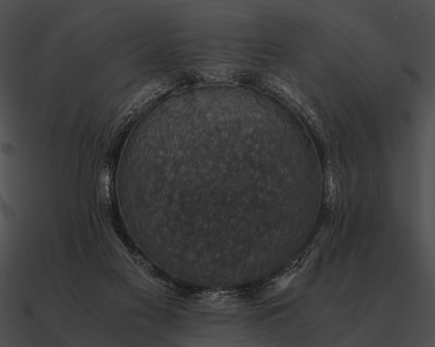 X0000090700117200708031421