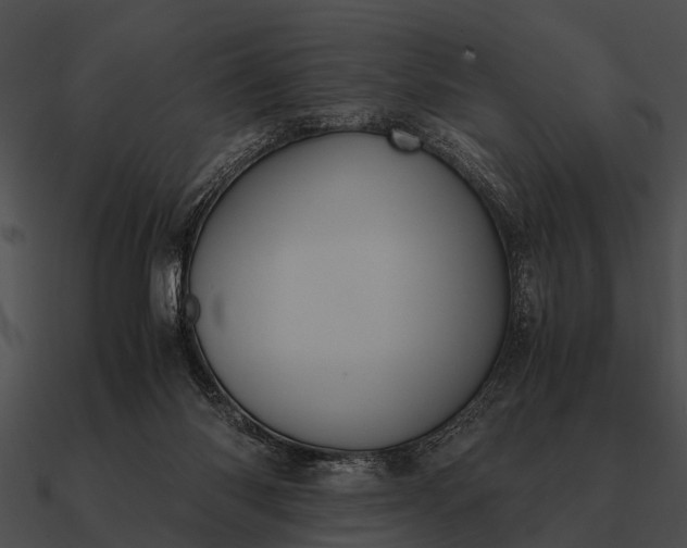 X0000090700118200708031421